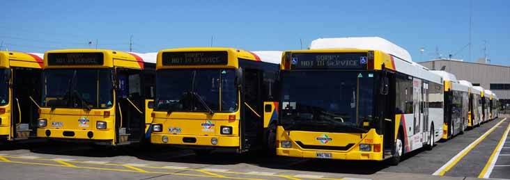 Adelaide Metro MAN SL202 PMCA 1609 & 1603, NL232 CNG ABM CB62A 1760